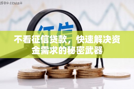 泰州不看征信贷款，快速解决资金需求的秘密武器