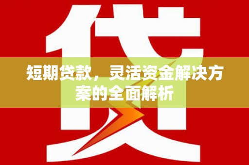 泰州短期贷款，灵活资金解决方案的全面解析