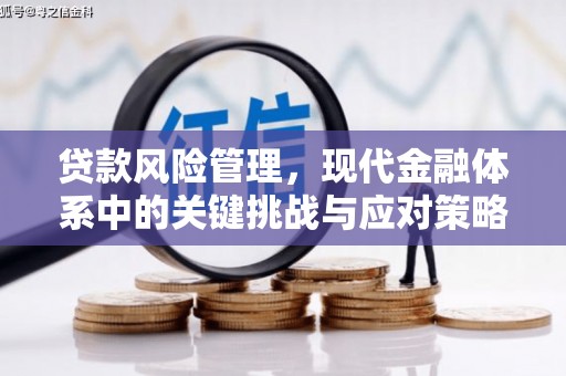 泰州贷款风险管理，现代金融体系中的关键挑战与应对策略