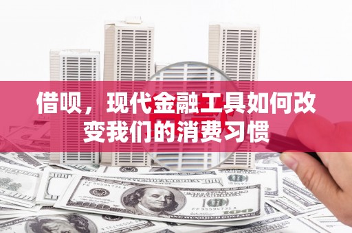 泰州借呗，现代金融工具如何改变我们的消费习惯