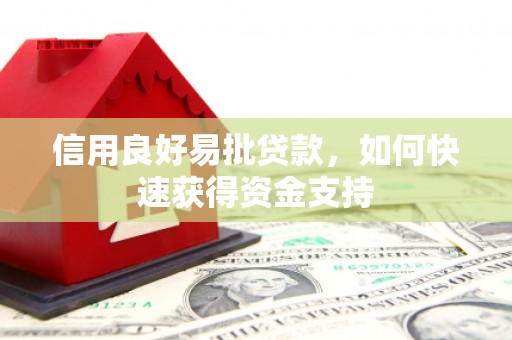 泰州信用良好易批贷款，如何快速获得资金支持