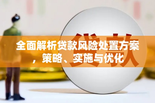 泰州全面解析贷款风险处置方案，策略、实施与优化