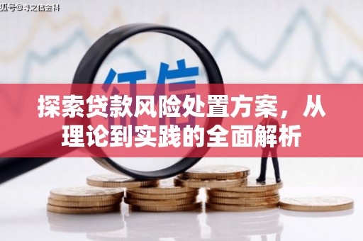 泰州探索贷款风险处置方案，从理论到实践的全面解析
