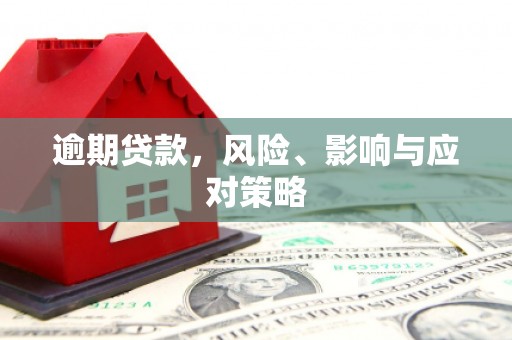 泰州逾期贷款，风险、影响与应对策略