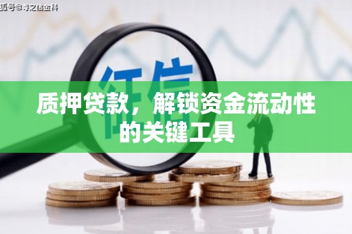 泰州质押贷款，解锁资金流动性的关键工具