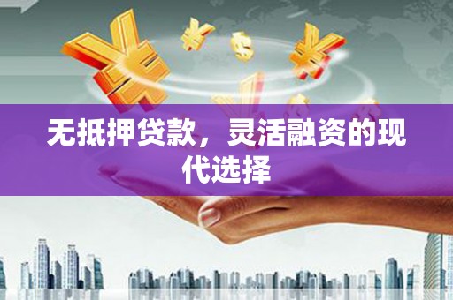 泰州无抵押贷款，灵活融资的现代选择