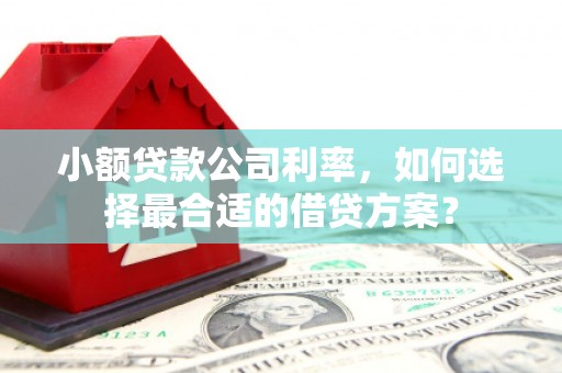 泰州小额贷款公司利率，如何选择最合适的借贷方案？