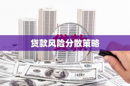 泰州贷款风险分散策略