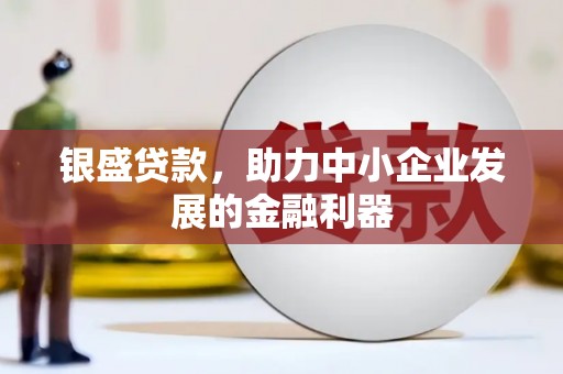 泰州银盛贷款，助力中小企业发展的金融利器