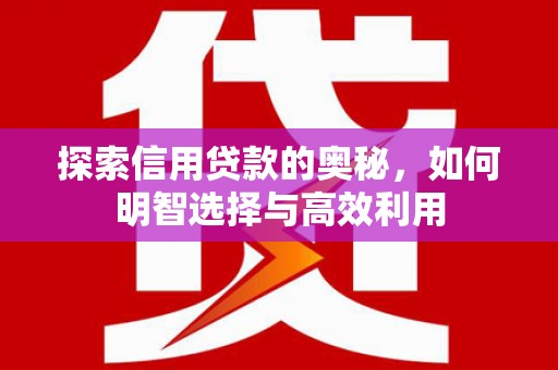 泰州探索信用贷款的奥秘，如何明智选择与高效利用