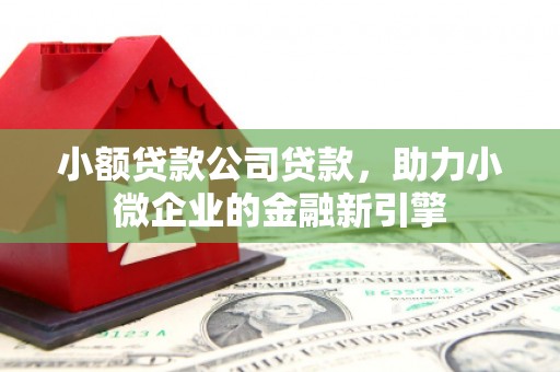 泰州小额贷款公司贷款，助力小微企业的金融新引擎