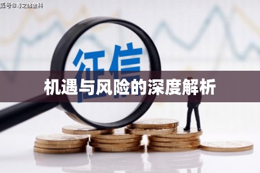 泰州机遇与风险的深度解析