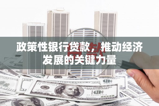 泰州政策性银行贷款，推动经济发展的关键力量