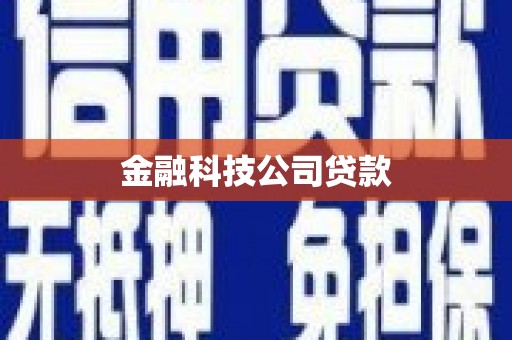 泰州金融科技公司贷款
