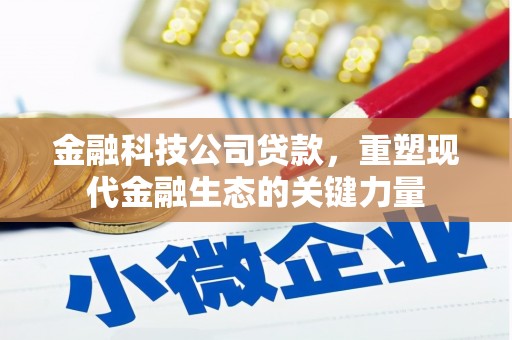 泰州金融科技公司贷款，重塑现代金融生态的关键力量