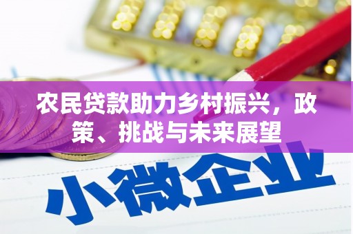 泰州农民贷款助力乡村振兴，政策、挑战与未来展望