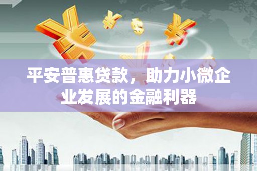 泰州平安普惠贷款，助力小微企业发展的金融利器