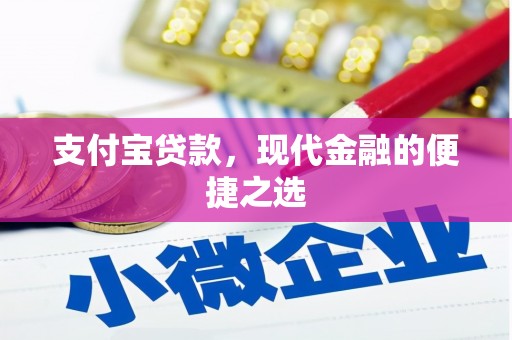 泰州支付宝贷款，现代金融的便捷之选