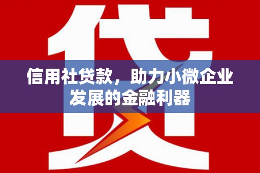 泰州信用社贷款，助力小微企业发展的金融利器