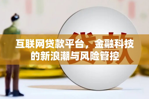 泰州互联网贷款平台，金融科技的新浪潮与风险管控