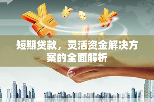 泰州短期贷款，灵活资金解决方案的全面解析