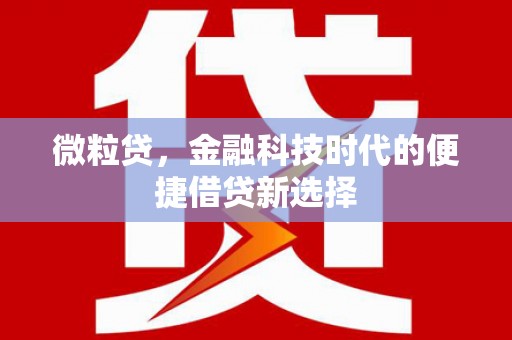 泰州微粒贷，金融科技时代的便捷借贷新选择