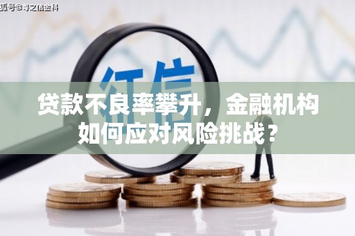 泰州贷款不良率攀升，金融机构如何应对风险挑战？