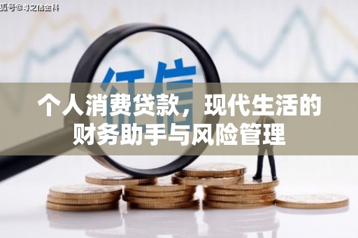 泰州个人消费贷款，现代生活的财务助手与风险管理
