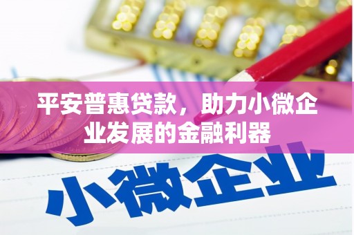 泰州平安普惠贷款，助力小微企业发展的金融利器