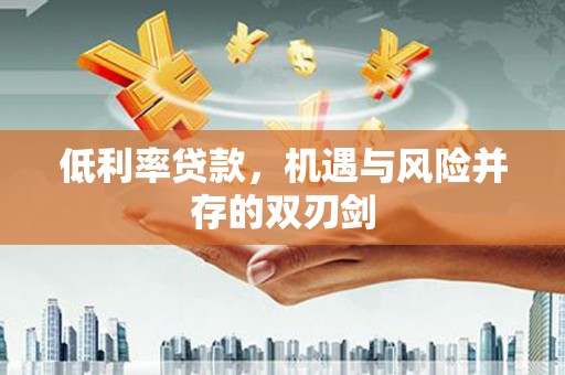 泰州低利率贷款，机遇与风险并存的双刃剑