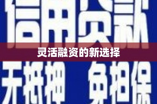泰州灵活融资的新选择