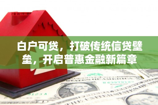 泰州白户可贷，打破传统信贷壁垒，开启普惠金融新篇章