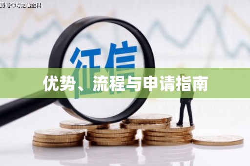 泰州优势、流程与申请指南