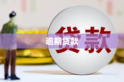 泰州逾期贷款
