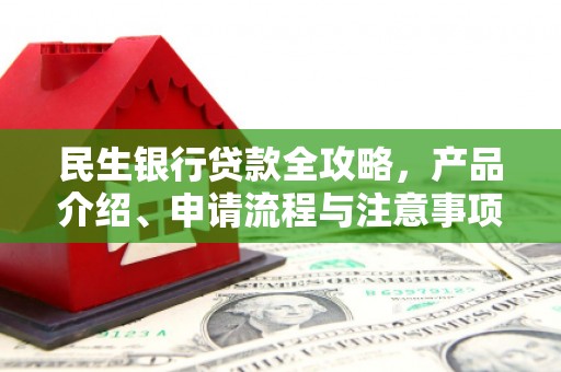 泰州民生银行贷款全攻略，产品介绍、申请流程与注意事项